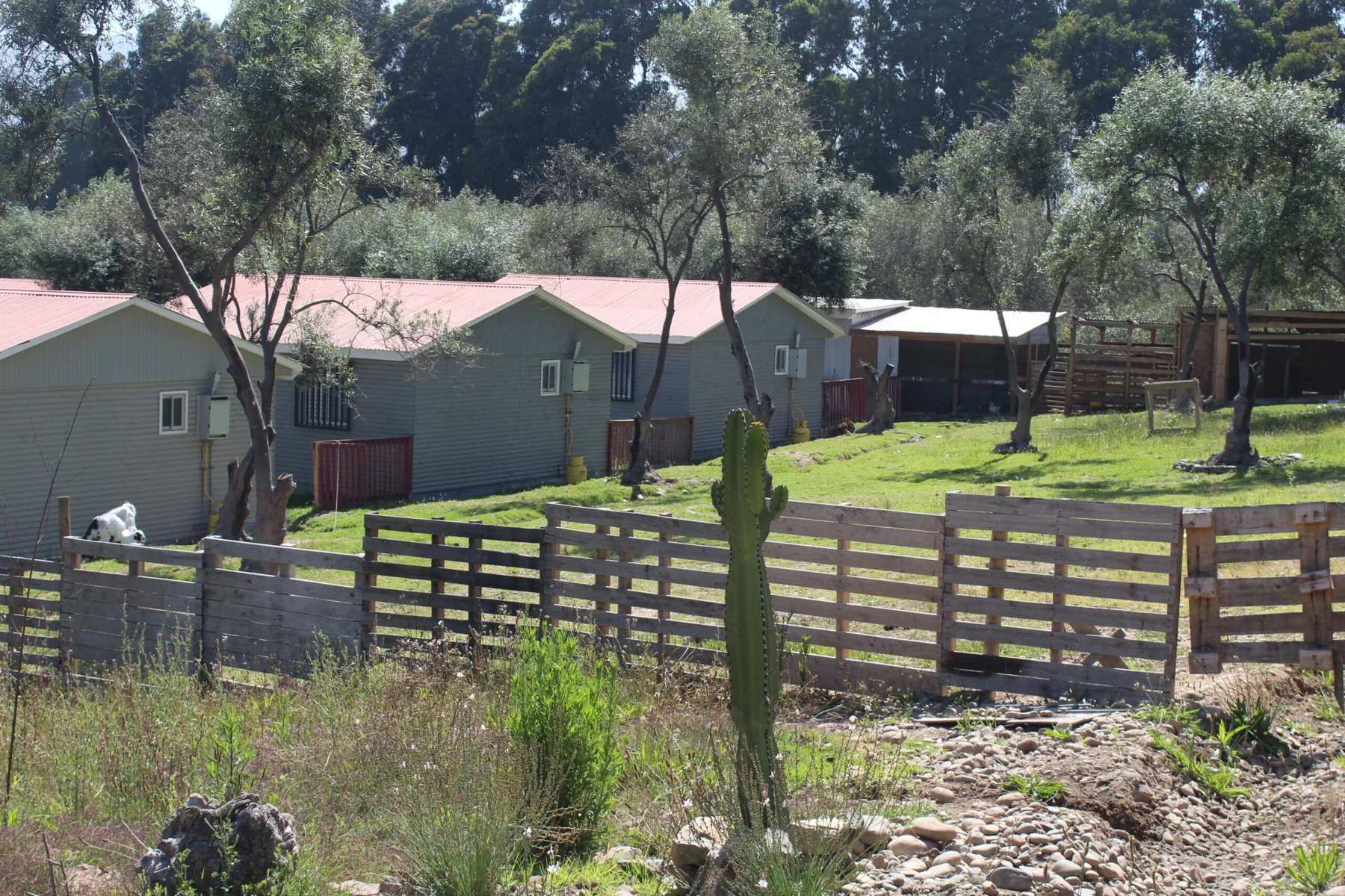 Áreas verdes del recinto de cabañas